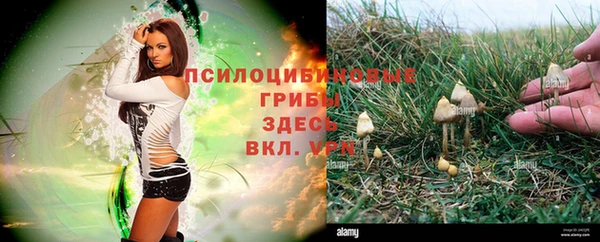 кокаин Алзамай