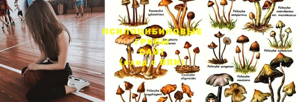 прущая мука Алексеевка